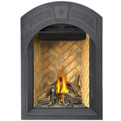 Napoleon 28-Inch Park Avenue Direct Vent Gas Fireplace Compact Indoor GD82NT-PAESB