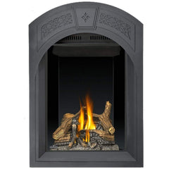 Napoleon 28-Inch Park Avenue Direct Vent Gas Fireplace Compact Indoor GD82NT-PAESB