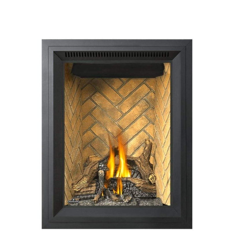 Napoleon 28-Inch Park Avenue Direct Vent Gas Fireplace Compact Indoor GD82NT-PAESB