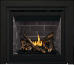 Napoleon 36-Inch Altitude Electronic Ignition Propane Gas Direct Vent Fireplace Indoor A36PTE