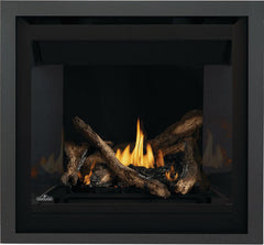 Napoleon 36-Inch Altitude Electronic Ignition Propane Gas Direct Vent Fireplace Indoor A36PTE