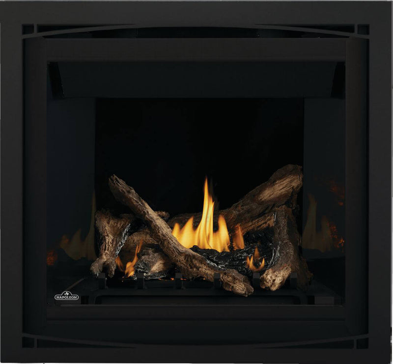 Napoleon 36-Inch Altitude Electronic Ignition Propane Gas Direct Vent Fireplace Indoor A36PTE