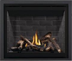 Napoleon 42-Inch Altitude Electronic Ignition Propane Gas Direct Vent Fireplace Indoor A42PTE