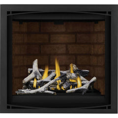 Napoleon 36-Inch Altitude X Electronic Ignition Natural Gas Direct Vent Fireplace Indoor AX36NTE-1