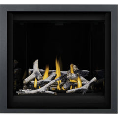 Napoleon 36-Inch Altitude X Electronic Ignition Natural Gas Direct Vent Fireplace Indoor AX36NTE-1