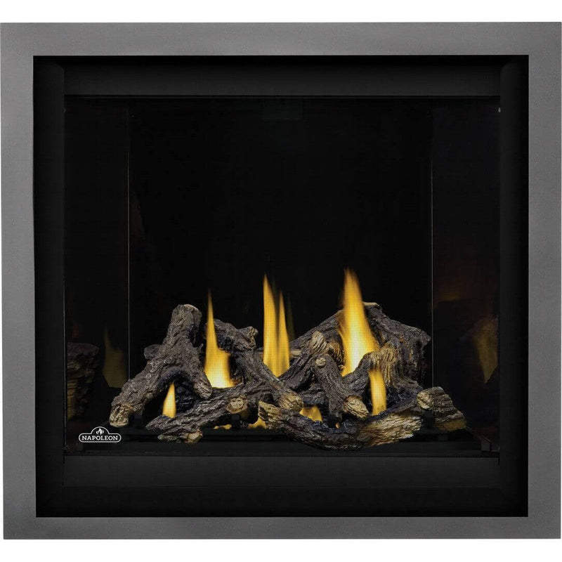 Napoleon 36-Inch Altitude X Electronic Ignition Propane Gas Direct Vent Fireplace Indoor AX36PTE-1