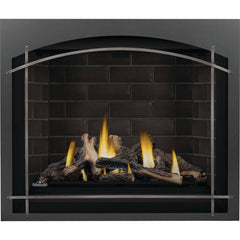 Napoleon 42-Inch Altitude X Electronic Ignition Natural Gas Direct Vent Fireplace Indoor AX42NTE-1