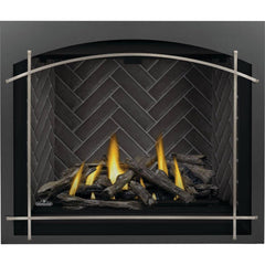 Napoleon 42-Inch Altitude X Electronic Ignition Natural Gas Direct Vent Fireplace Indoor AX42NTE-1