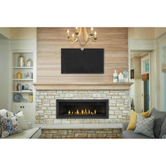Napoleon 56-Inch Ascent Electronic Ignition Natural Gas Direct Vent Linear Fireplace Indoor BL56NTE