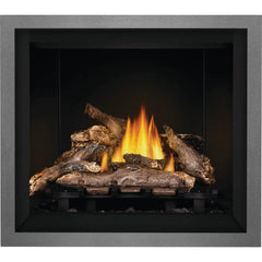 Napoleon 36-Inch Elevation Direct Vent Fireplace Millivolt Ignition Propane Gas Indoor E36PT