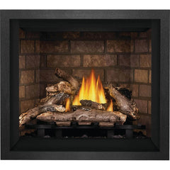 Napoleon 36-Inch Elevation Direct Vent Fireplace Millivolt Ignition Propane Gas Indoor E36PT