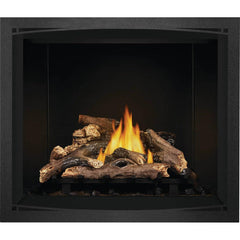 Napoleon 42-Inch Elevation Direct Vent Fireplace Millivolt Ignition Natural Gas Indoor E42NT