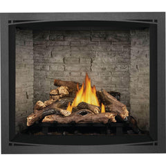Napoleon 42-Inch Elevation Direct Vent Fireplace Millivolt Ignition Natural Gas Indoor E42NT