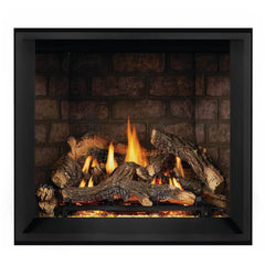 Napoleon 36-Inch Elevation X Direct Vent Fireplace Electronic Ignition Propane Gas Indoor EX36PTEL