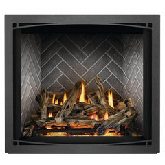 Napoleon 36-Inch Elevation X Direct Vent Fireplace Electronic Ignition Propane Gas Indoor EX36PTEL
