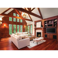 Napoleon 36-Inch Elevation X Direct Vent Fireplace Electronic Ignition Propane Gas Indoor EX36PTEL