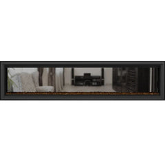 Napoleon 62-Inch Vector See Through Linear Direct Vent Fireplace Natural Gas Indoor LV62N2