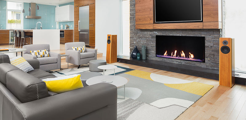 Plaza 55-Inch Linear Single-Sided Gas Fireplace with Screen Barrier Modern Design Indoor DVLXB55BP90N